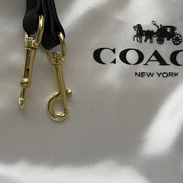 کیف کوچ آلما (Coach) مستر کوالیتی - Image 3