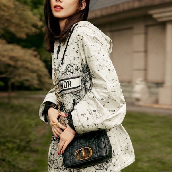 کیف دیور (Dior) - Image 6
