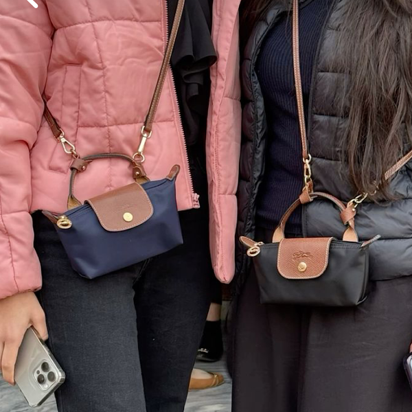 کیف لانگ چمپ مستر کوالیتی (Longchamp) - Image 5