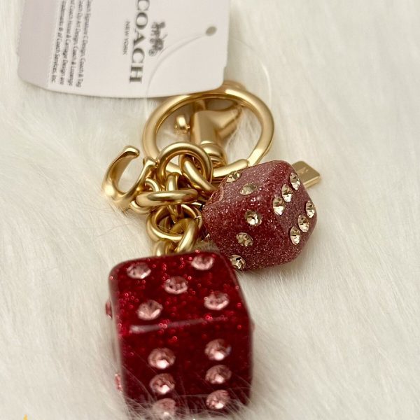آویز کیف زنانه کوچ (Coach) - Image 3