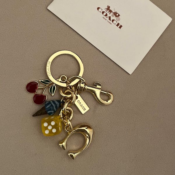آویز کیف زنانه کوچ (Coach) - Image 5