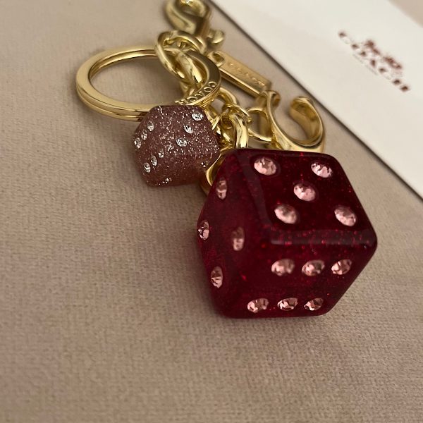 آویز کیف زنانه کوچ (Coach) - Image 4