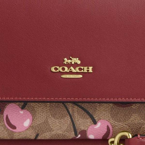 کیف کوچ لیمیتد ادیشن (Coach) - Image 4