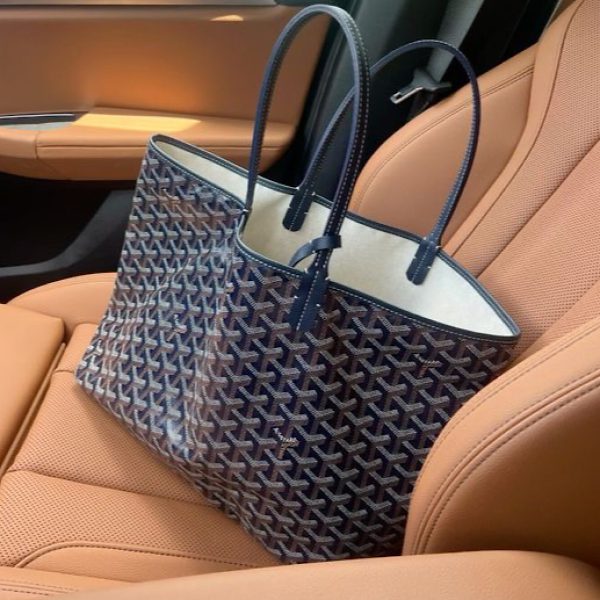 کیف گویارد (Goyard Saint Louis PM Bag) - Image 3