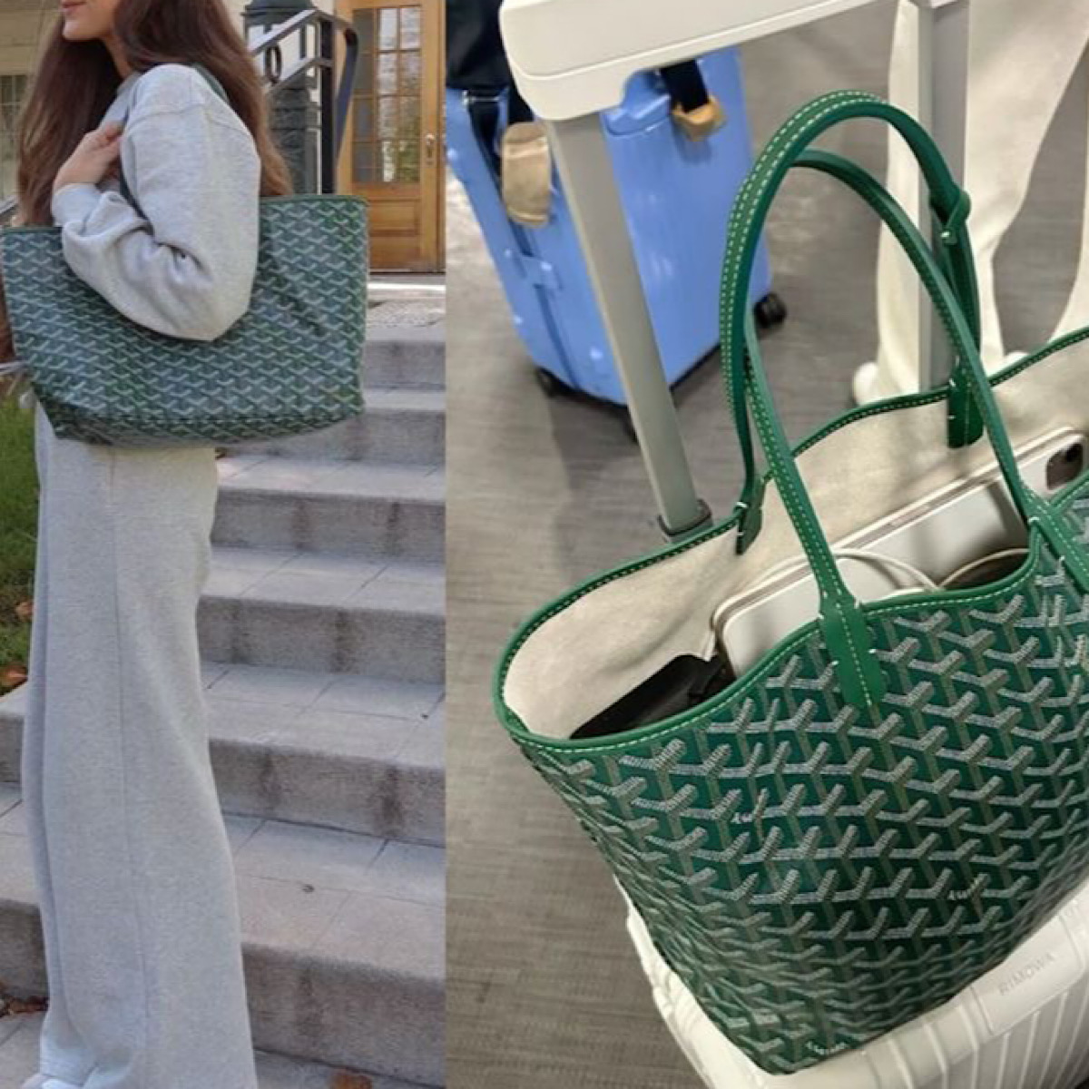 کیف گویارد (Goyard Saint Louis PM Bag) - Image 6