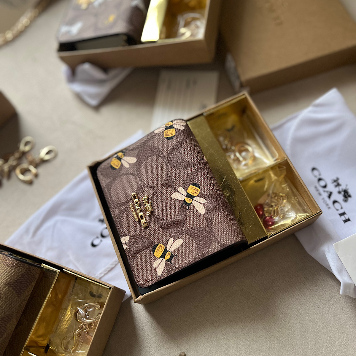 گیفت ست کیف مینی کوچ (Coach) - Image 4