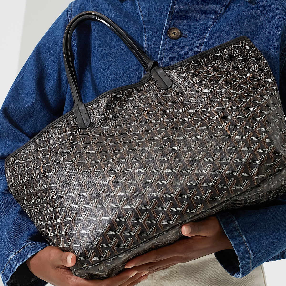 کیف گویارد (Goyard Saint Louis PM Bag) - Image 6
