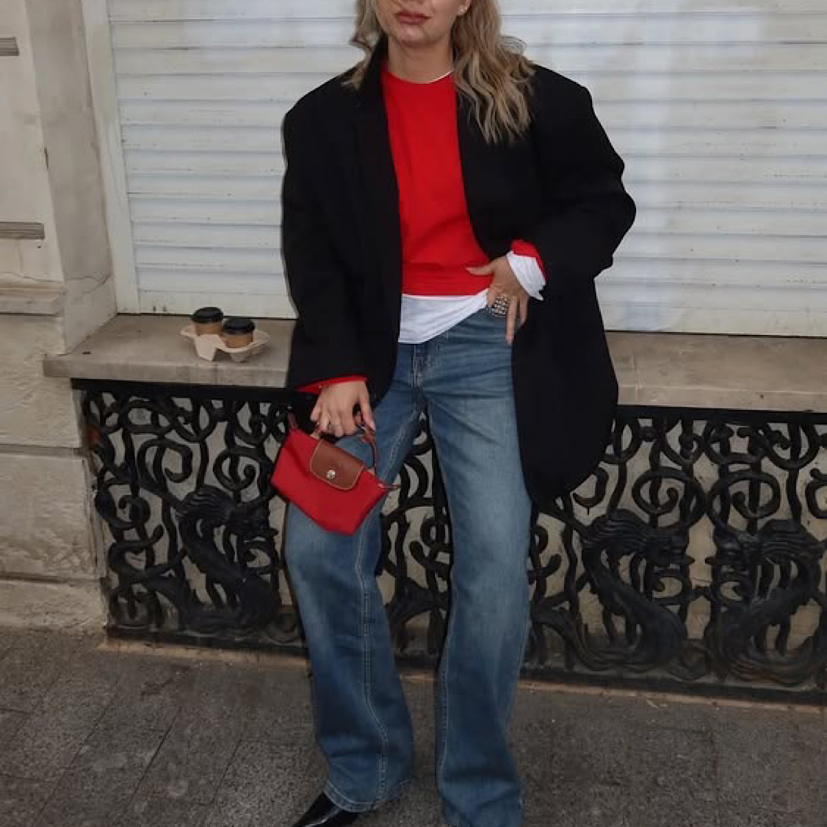 کیف لانگ چمپ مستر کوالیتی (Longchamp) - Image 5