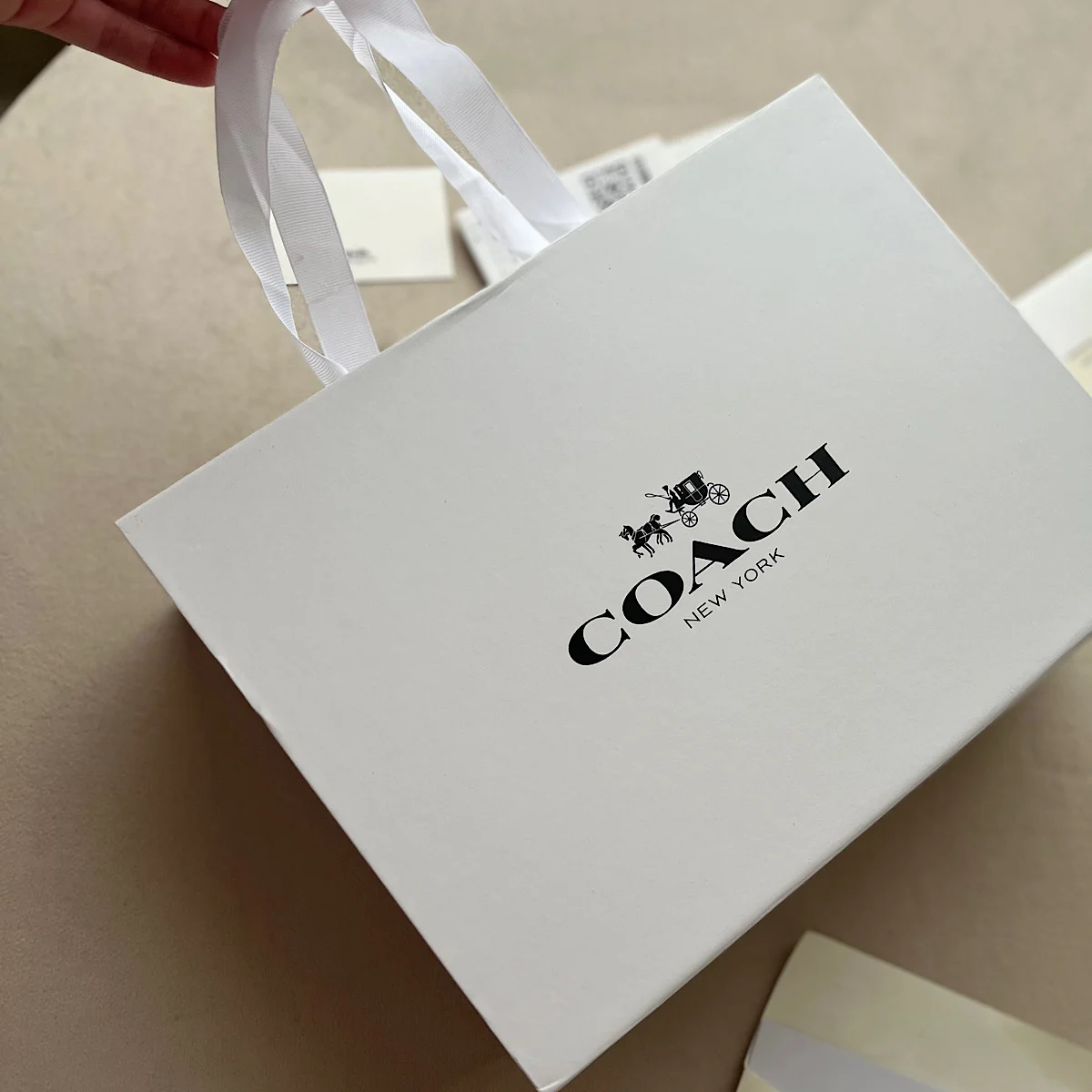 کیف کوچ سوپر مستر کوالیتی (Coach Teri Shoulder Bag) - Image 7