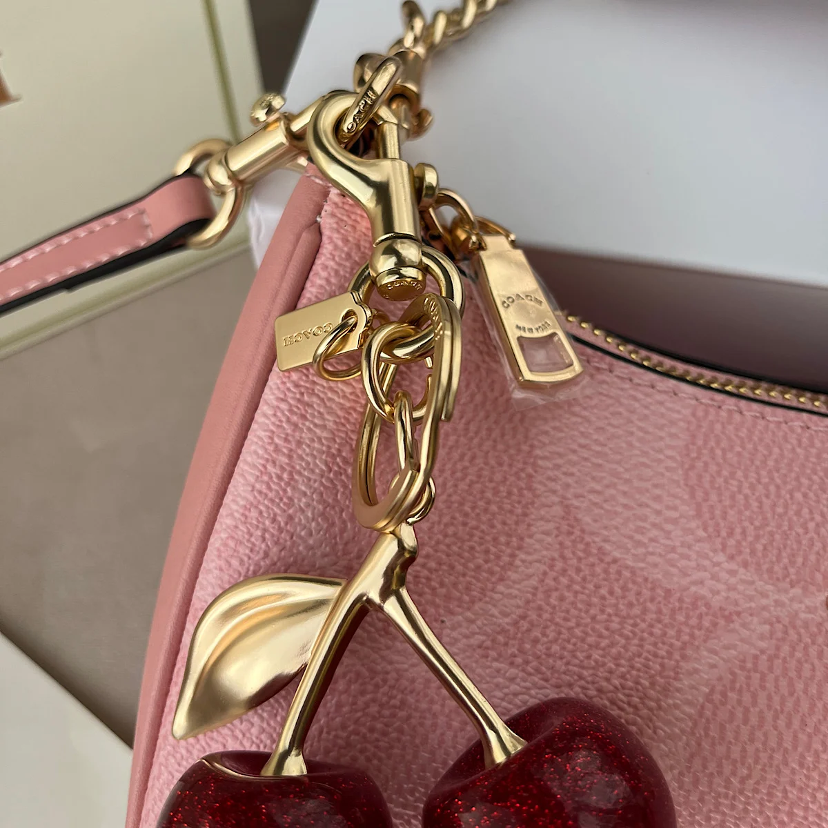 کیف کوچ سوپر مستر کوالیتی(Coach Teri Shoulder Bag) - Image 5