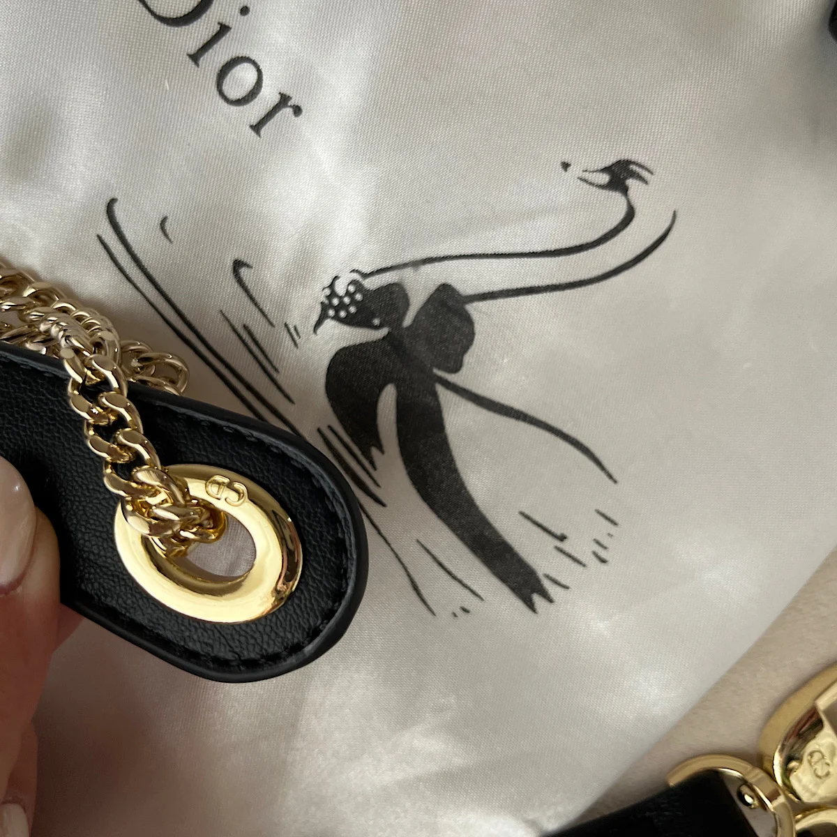 کیف دیور (Dior lambskin cannage lady bag) - Image 7