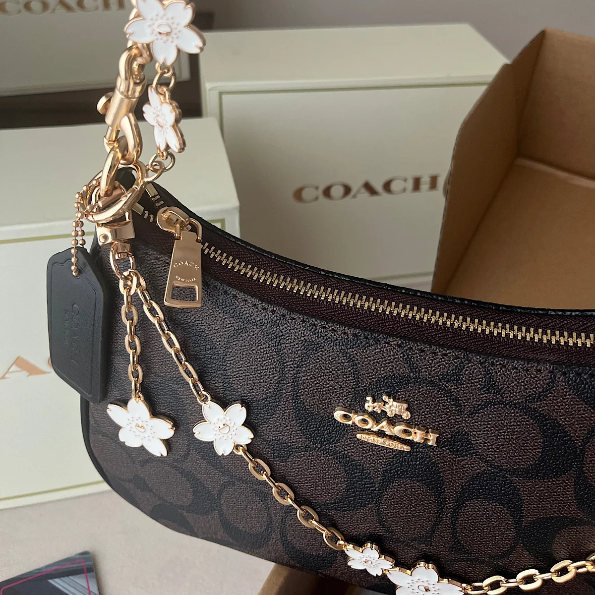 کیف کوچ لیمیتد ادیشن (Coach Teri Limited Bag) - Image 5