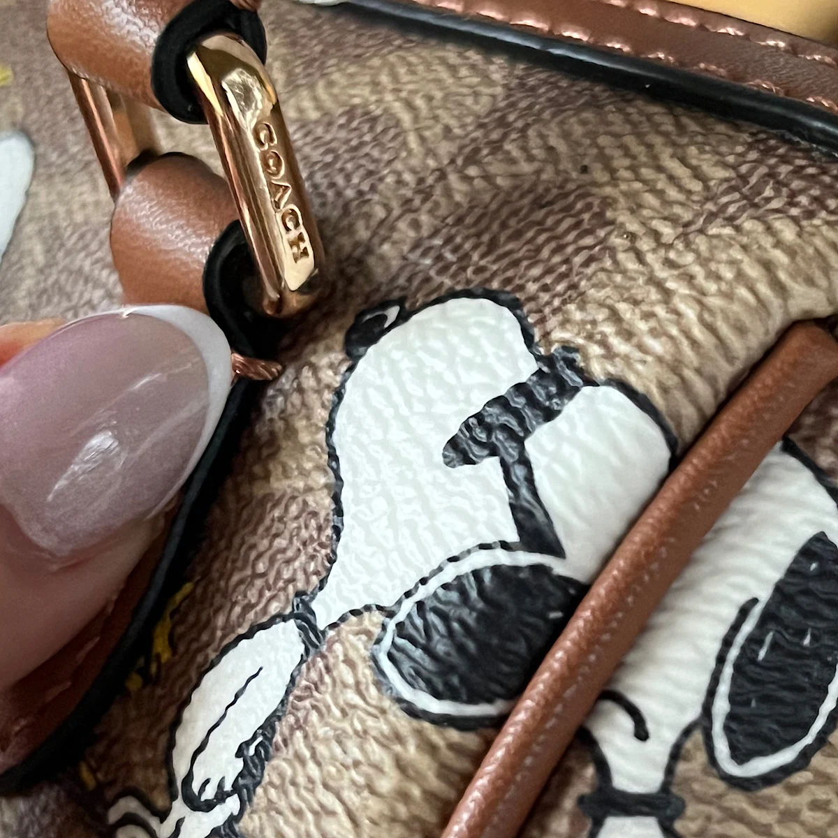 کیف کوچ لیمیتد ادیشن (Coach) - Image 2