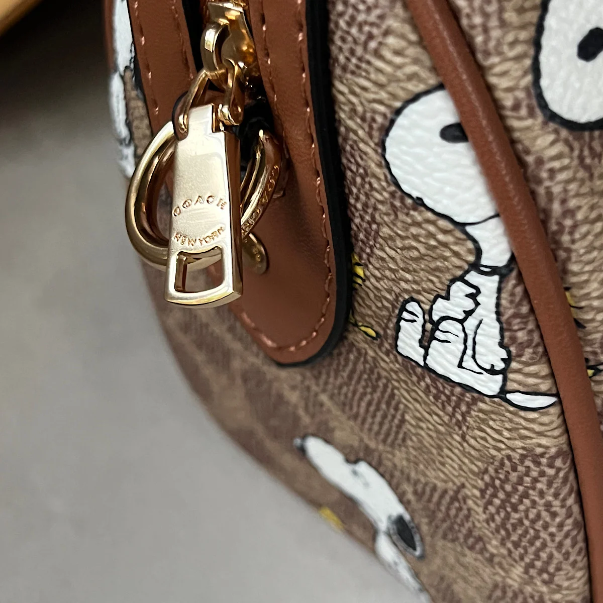 کیف کوچ لیمیتد ادیشن (Coach) - Image 8