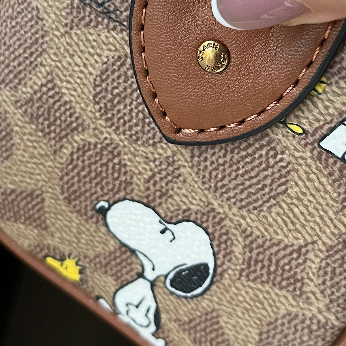 کیف کوچ لیمیتد ادیشن (Coach) - Image 6